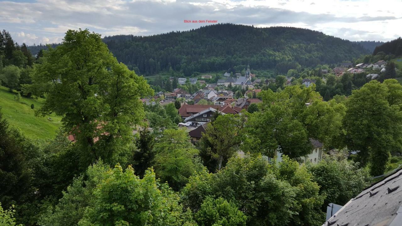Ferienwohnung Im Schwarzwald Тодтмос Екстер'єр фото