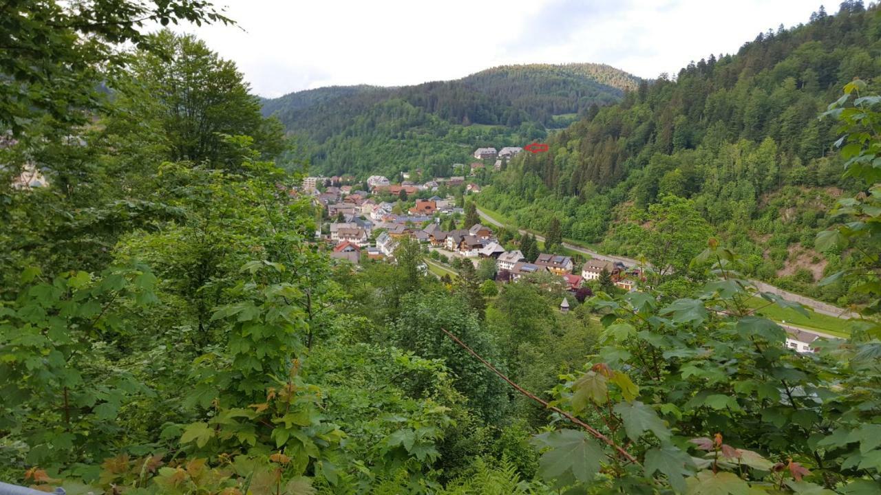 Ferienwohnung Im Schwarzwald Тодтмос Екстер'єр фото